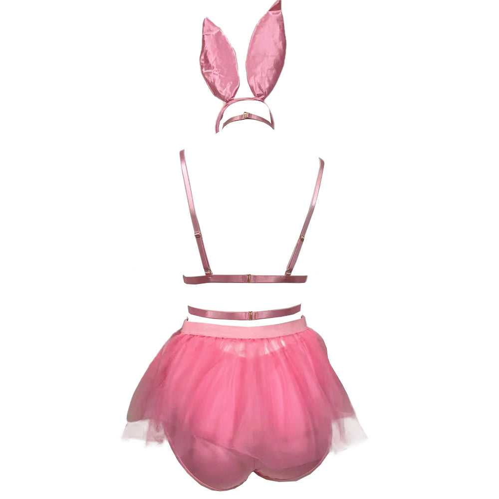 CS2L13806-P-L